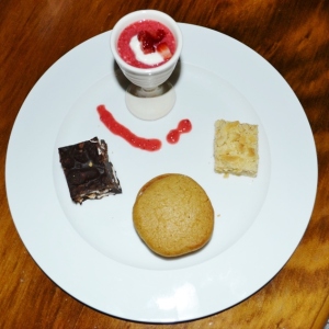 Dessert Medley of Ice Cream Sandwich, Chilled Strawberry Mouse, Rocky Road, Caramel Crumble Slice